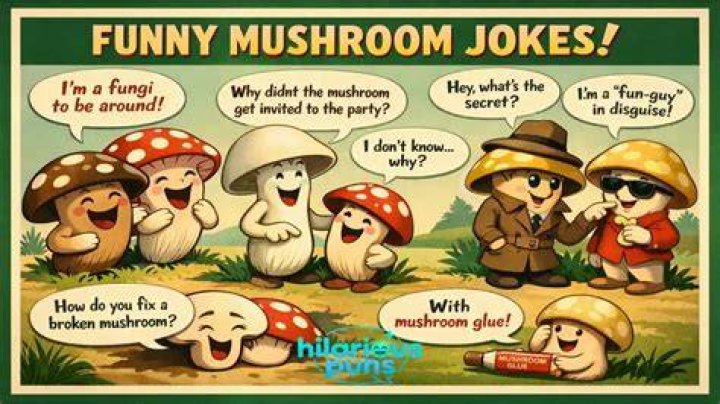 30+ Hilarious Mushroom Jokes And Puns! LaffGaff
