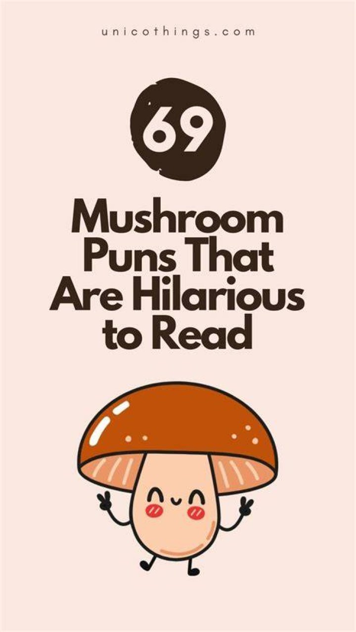 70+ mushroom jokes and puns that are seriously funny, no cap Legit.ng