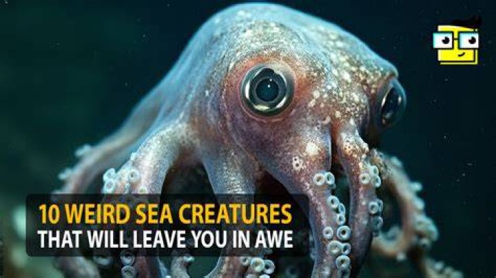 Exploring Weird Hypotheticals: A Dive Into The Unusual And Bizarre