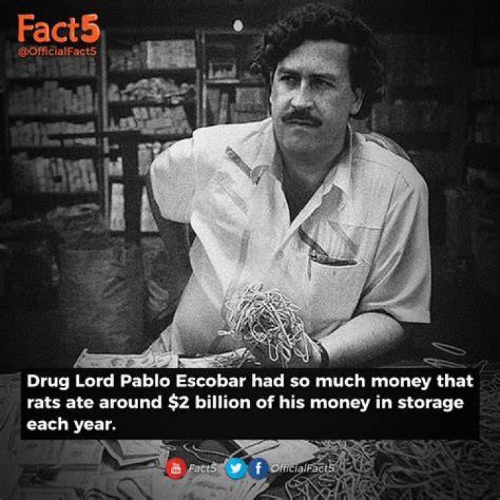 How Much Did Pablo Escobar Make In A Week?