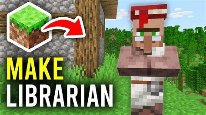 How to Make a Librarian