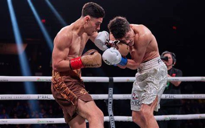 Introduction to the Fight or Flight Response