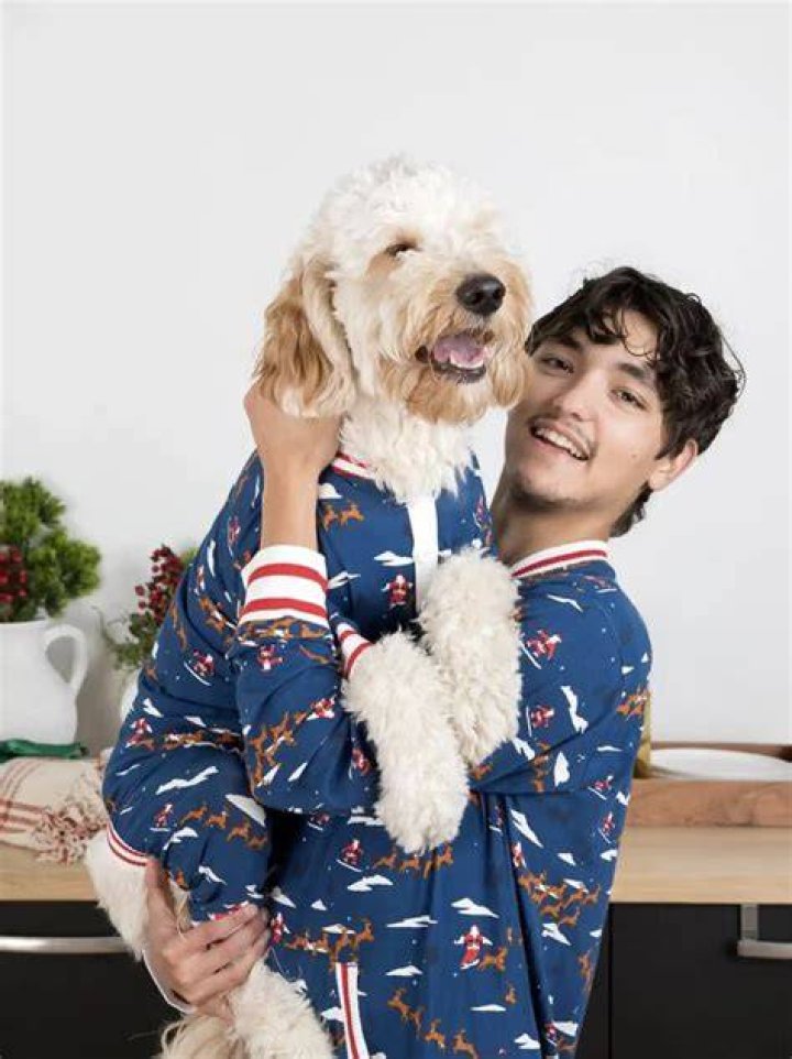 Matching Dog & Human Christmas Jumpers Exist To Make You A Pawdorable